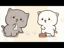 Mochi GIF - Mochi GIFs