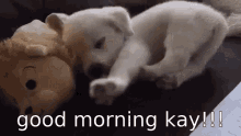 Good Morning Kay Kay GIF - Good Morning Kay Kay Gm GIFs