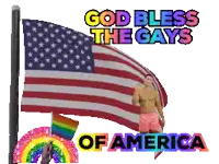 a poster that says god bless the gays of america with an american flag