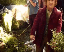 Bilbo Baggins Wacky GIF - Bilbo Baggins Wacky Double GIFs