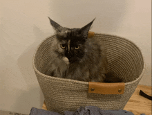 a cat is sitting in a laundry basket with a brown leather handle