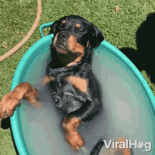 Taking Bath Viralhog GIF - Taking Bath Viralhog Relaxing GIFs