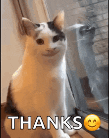 Smiling Cat GIF