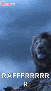 Lion Roaring Aruchuta GIF