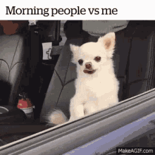 Morning People Morning People Vs Me GIF - Morning People Morning Morning People Vs Me GIFs