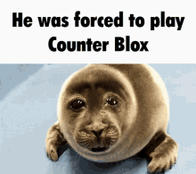 Counter Blox Csgo GIF
