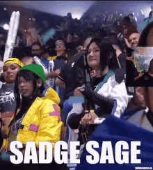 Sadge Sage GIF - Sadge Sage Vct GIFs