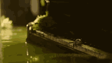 Piano Frog The Last Of Us Piano GIF