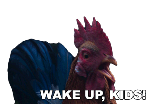 Wake Up Kids Jw Rooster Sticker