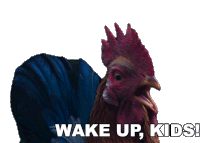 Wake Up Kids Jw Rooster Sticker - Wake Up Kids Jw Rooster Peter Rabbit2the Runaway Stickers
