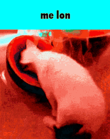 Me Lon Demon GIF - Me Lon Demon Cat GIFs