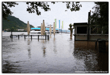 Hochwasser Wetter Pfingsten Rhein Andernach GIF - Hochwasser Wetter Pfingsten Rhein Andernach GIFs