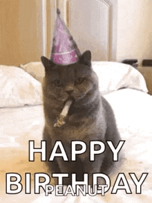 a cat is wearing a party hat and smoking a cigarette .