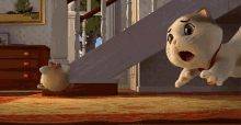 Il Gatto Fortunato Scivolare Su Tappeto GIF - Il Gatto Fortunato Scivolare Su Tappeto Scivolare GIFs