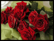 Flowers Roses GIF - Flowers Roses GIFs