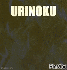 a picture of a dragon ball z character with the name urinoku written on it .
