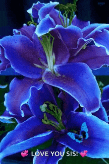 Blue Flower GIF - Blue Flower Butterfly GIFs