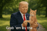 donald trump holding an orange cat with the words grab ' em by the written below him