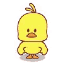 Animation Chick GIF - Animation Chick GIFs