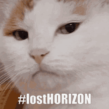 Horizon Lost GIF