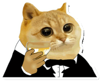 Catcoin Cat Memes Sticker - Catcoin Cat Memes Cat Meme Stickers