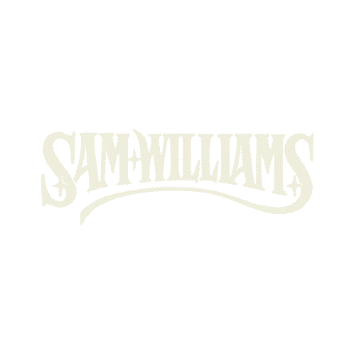 Sam Williams Carnival Heart Song Sticker - Sam Williams Carnival Heart Song Name Title Stickers