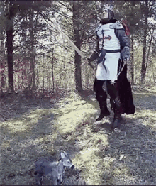 a man in a knight costume is holding a sword and a rabbit on a leash