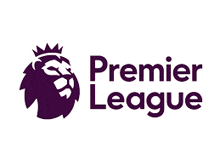the logo for the premier league has a lion on it