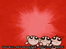 Triggered You Wont Beat Me GIF