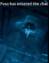 a picture of a person walking in the water with the words fvso has entered the chat below it