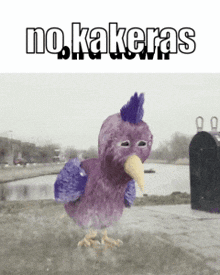 Opila Bird No Kakeras GIF - Opila Bird No Kakeras Kakera GIFs
