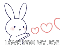 a drawing of a bunny with the words love you my joe below it