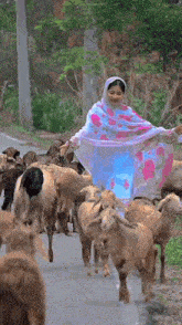 a woman is walking down a road surrounded by a herd of goats .