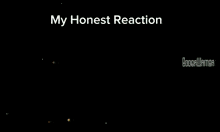 a screenshot of a video game with the words " my honest reaction " at the top