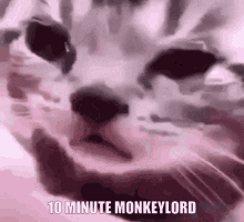 10 Minute GIF - 10 Minute Monkeylord GIFs