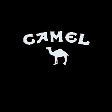 Cigarette Camel GIF - Cigarette Camel Cigar GIFs
