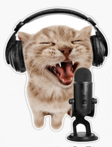 a cat wearing headphones is singing into a black microphone