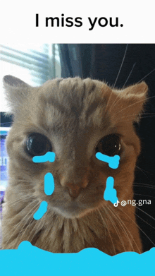 a picture of a cat with tears on its face and the words i miss you