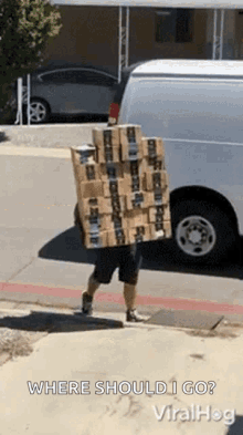 Carrying Boxes GIF - Carrying Boxes Viralhog GIFs