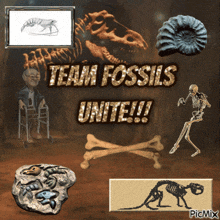 a poster that says ' team fossils unite !! ' on it