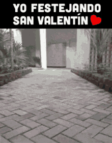 San Valentin GIF