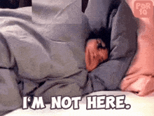 Hiding Bed GIF - Hiding Bed I'M Not Here GIFs