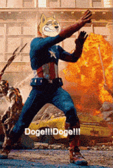 Doge Dogc GIF - Doge Dogc Amercian Captain GIFs