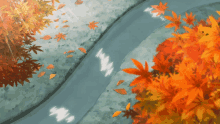 leaves autumn