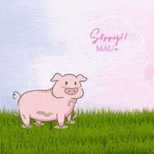 Mau Piggy GIF - Mau Piggy Sorry GIFs