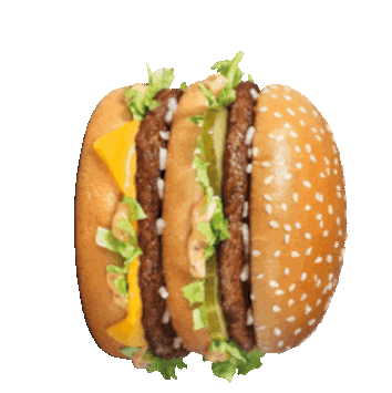 Burger Sticker - Burger Stickers