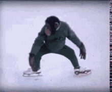 Chimp Ice Skating GIF - Chimp Ice Skating Funny GIFs