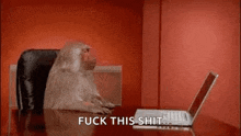 a monkey is sitting at a desk in front of a laptop computer and saying `` fuck this shit '' .
