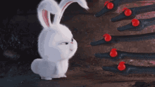 Snowball Secret Life Of Pets GIF - Snowball Secret Life Of Pets Angry GIFs