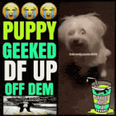 a poster that says puppy geeked df up on it